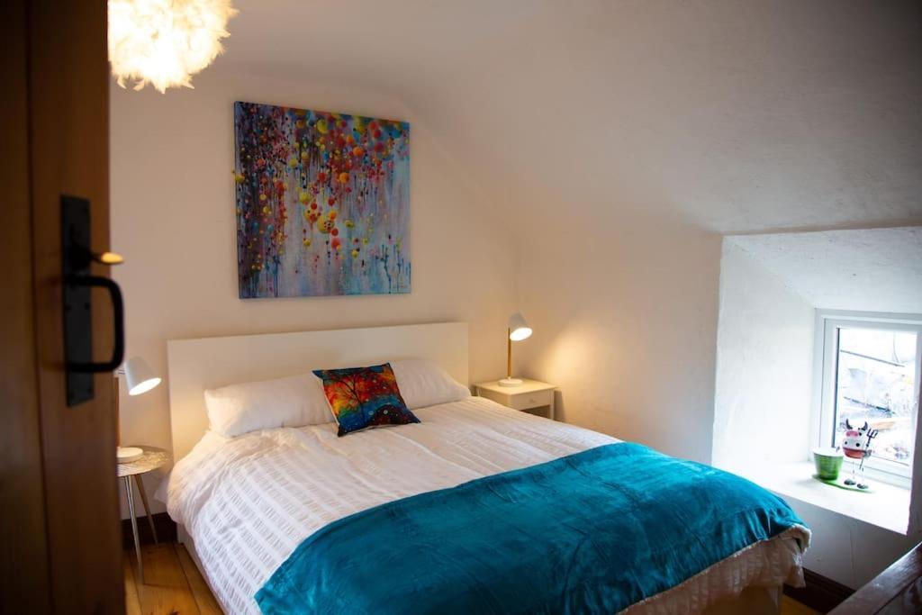 Appartement Cosy Apartment/ Explore The Area/enjoy Our Pub Headford